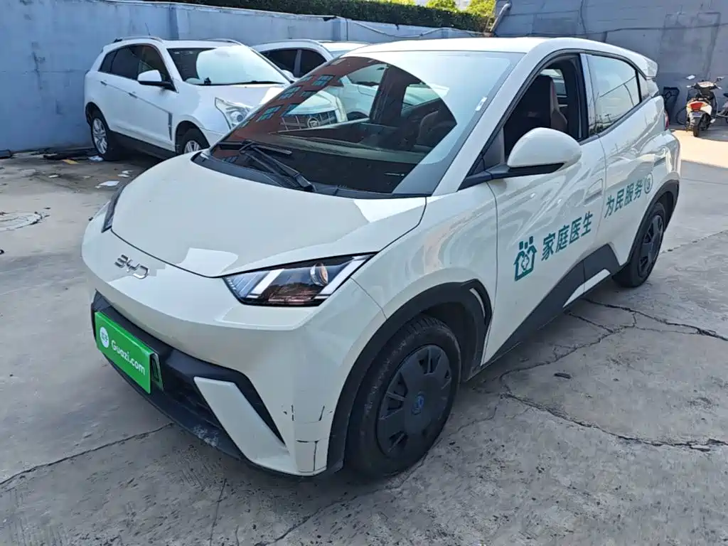 BYD Seagull 2024