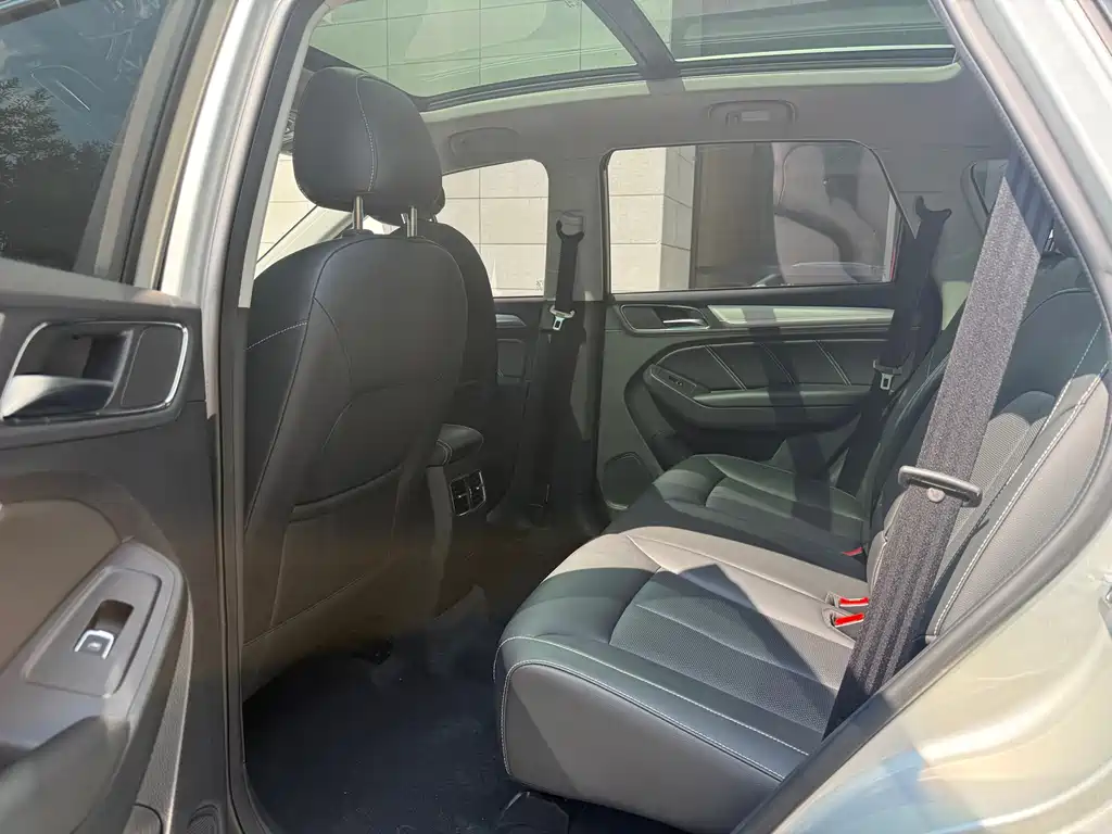 Roewe RX5 New Energy 2020 — фото 10