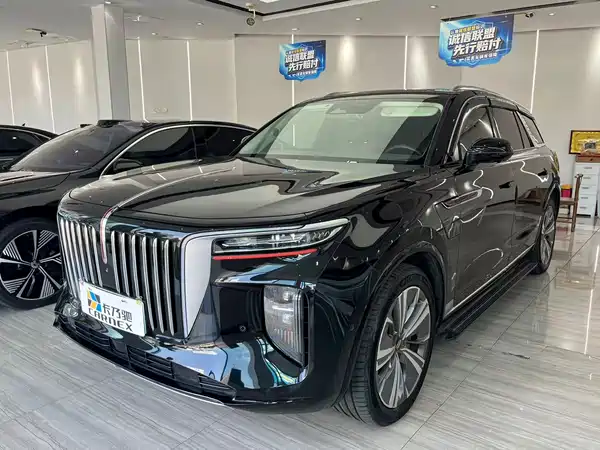 Hongqi E-HS9 2021