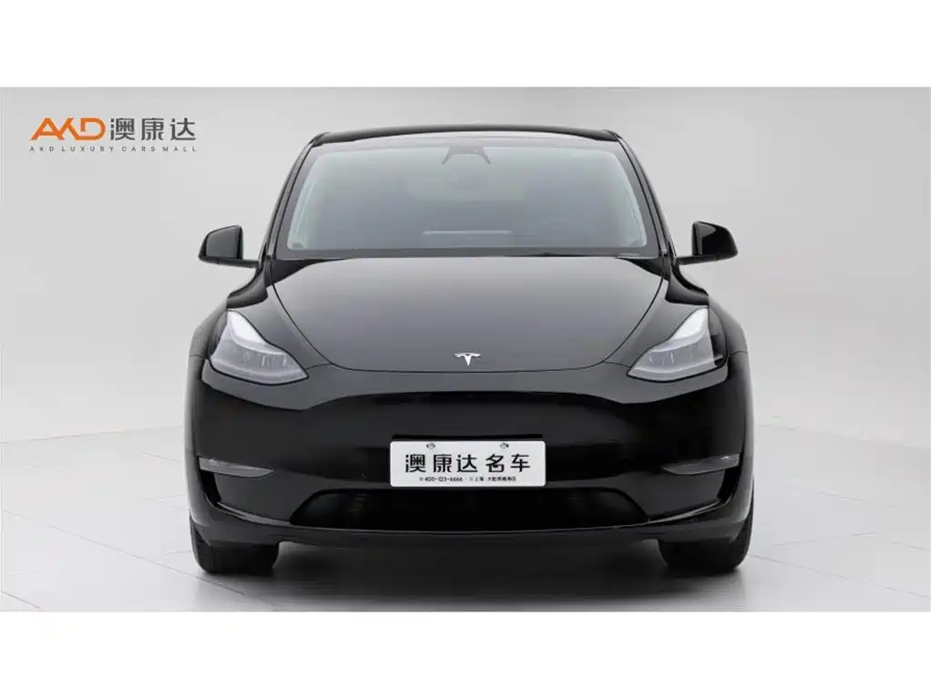 Tesla Model Y 2023 — фото 2