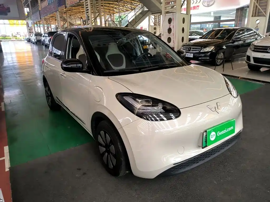 Wuling Bingo 2024