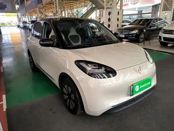 Wuling Bingo 2024