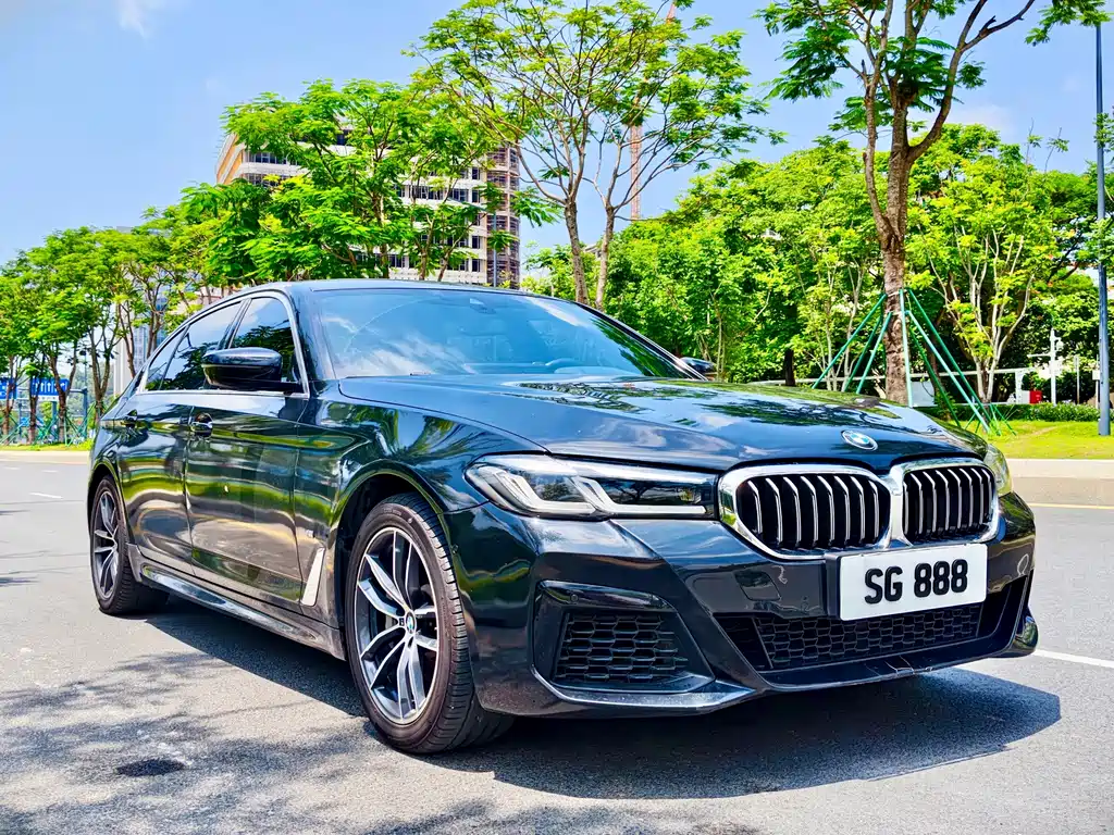 BMW 5 Series New Energy 2021