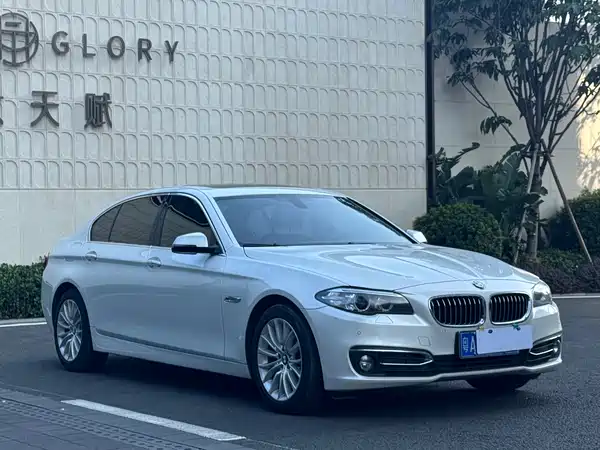 BMW 5 Series 2014