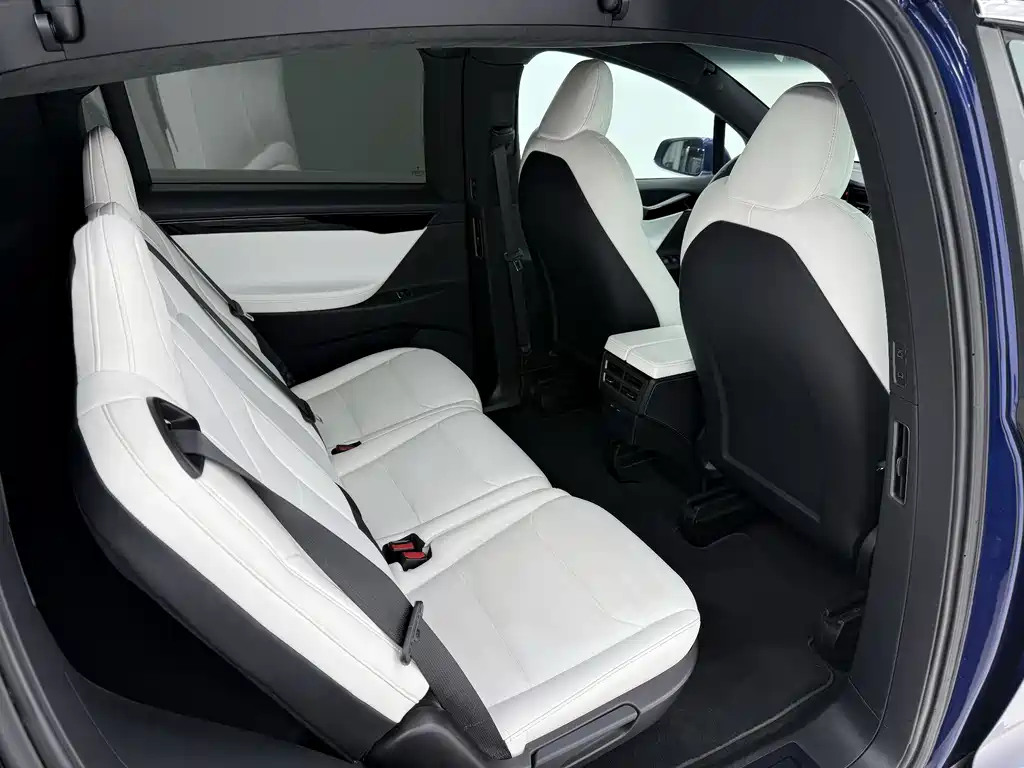 Tesla Model X 2020 — фото 11