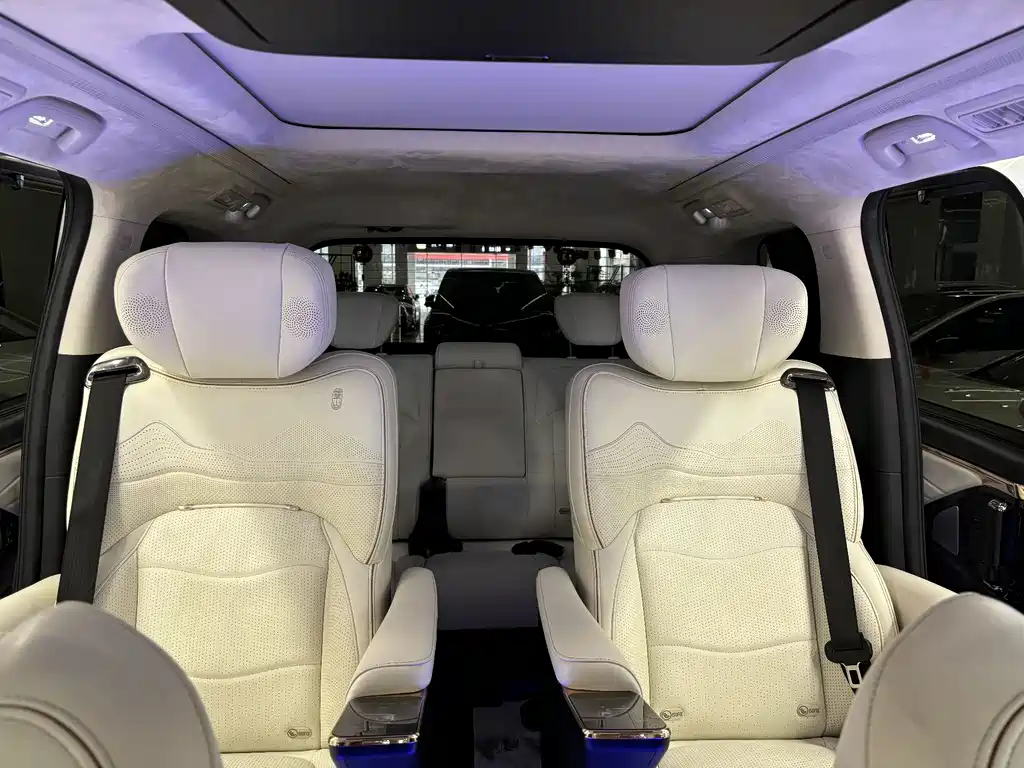 GAC Motor Trumpchi E9 2023 — фото 12