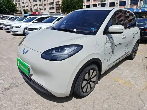 Wuling Bingo 2024