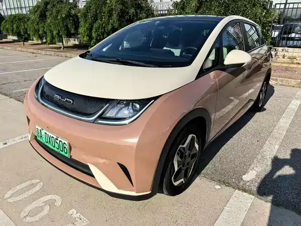 BYD Dolphin 2021