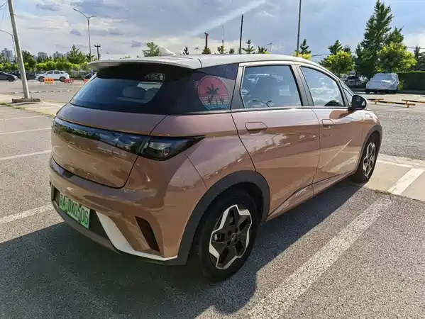 BYD Dolphin 2021