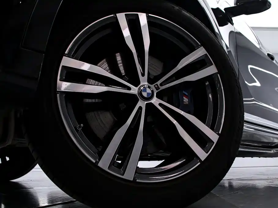 BMW X7 2021 — фото 16