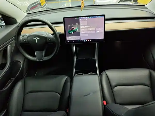 Tesla Model 3 2019