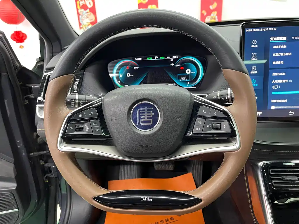 BYD Tang New Energy 2021 — фото 12