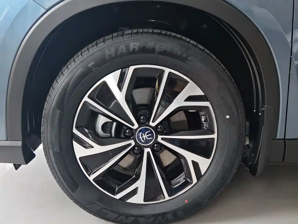 BYD Song Pro New Energy 2025 — фото 10