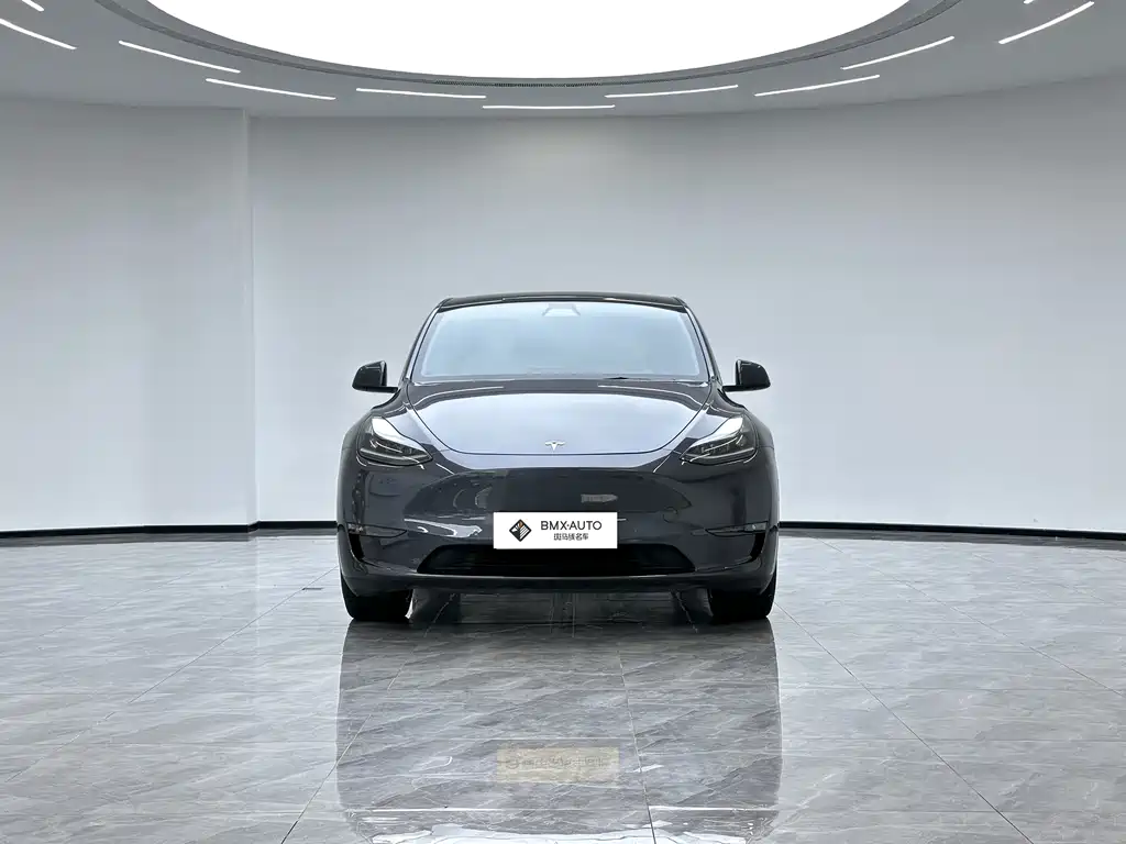 Tesla Model Y 2021 — фото 5