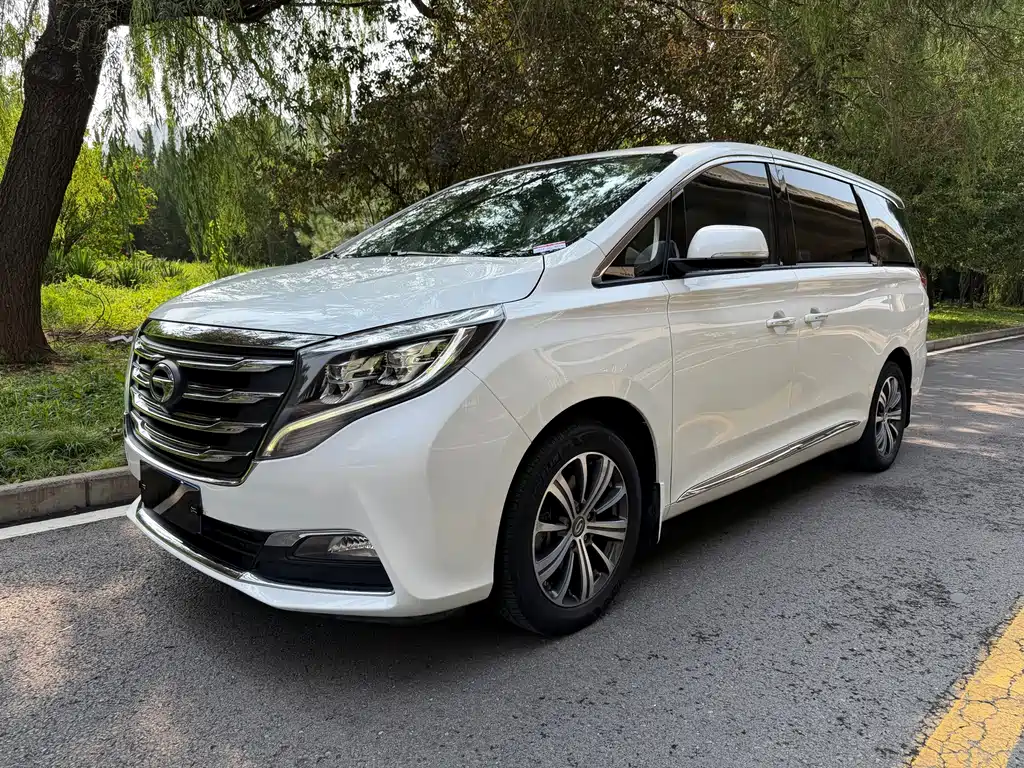GAC Trumpchi M8 2019 — фото 1