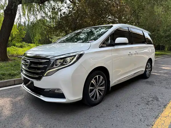 GAC Trumpchi M8 2019