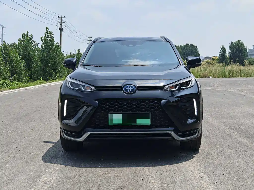 Toyota Wildlander New Energy 2021
