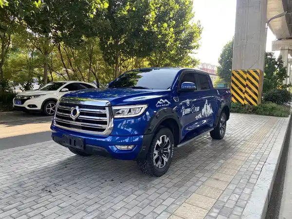 Great Wall Poer 2020