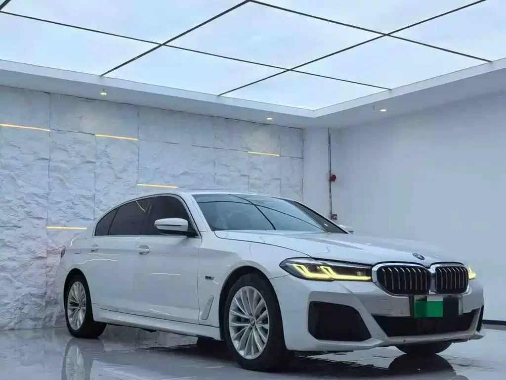BMW 5 Series New Energy 2022