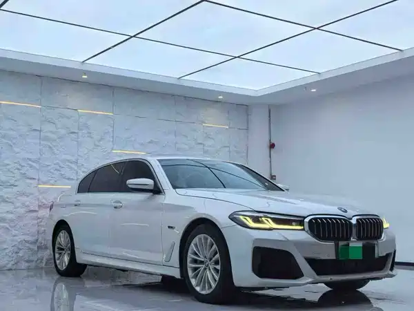 BMW 5 Series New Energy 2022
