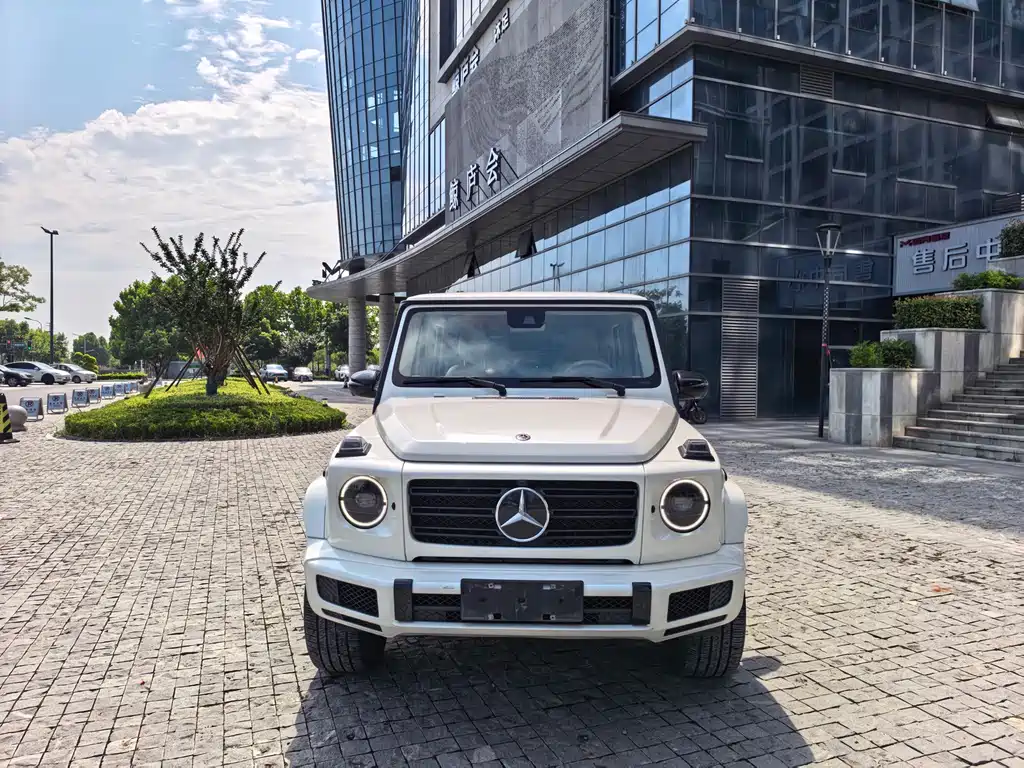 Mercedes-Benz G-Class 2020 — фото 2