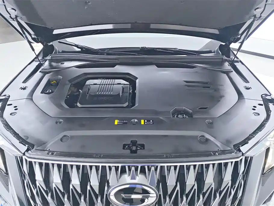 GAC Motor Trumpchi GS8 2022 — фото 10