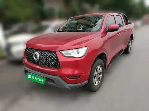 Great Wall Poer 2020