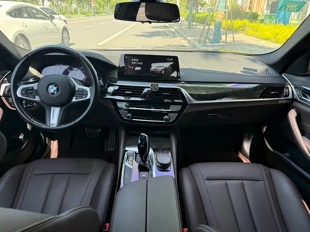 BMW 5 Series 2019 — фото 8