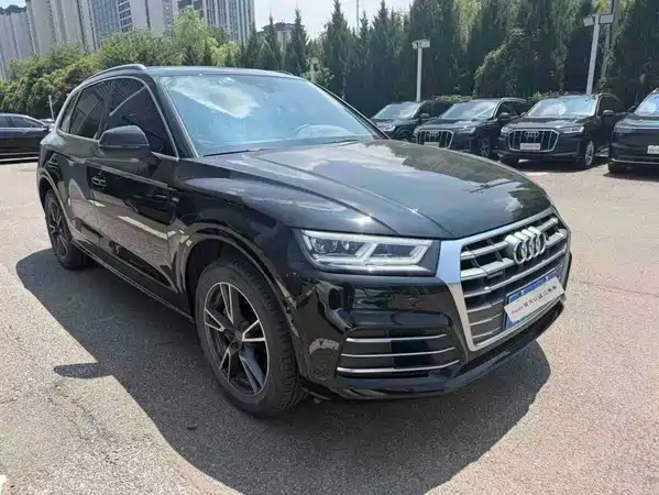 Audi Q5L 2019
