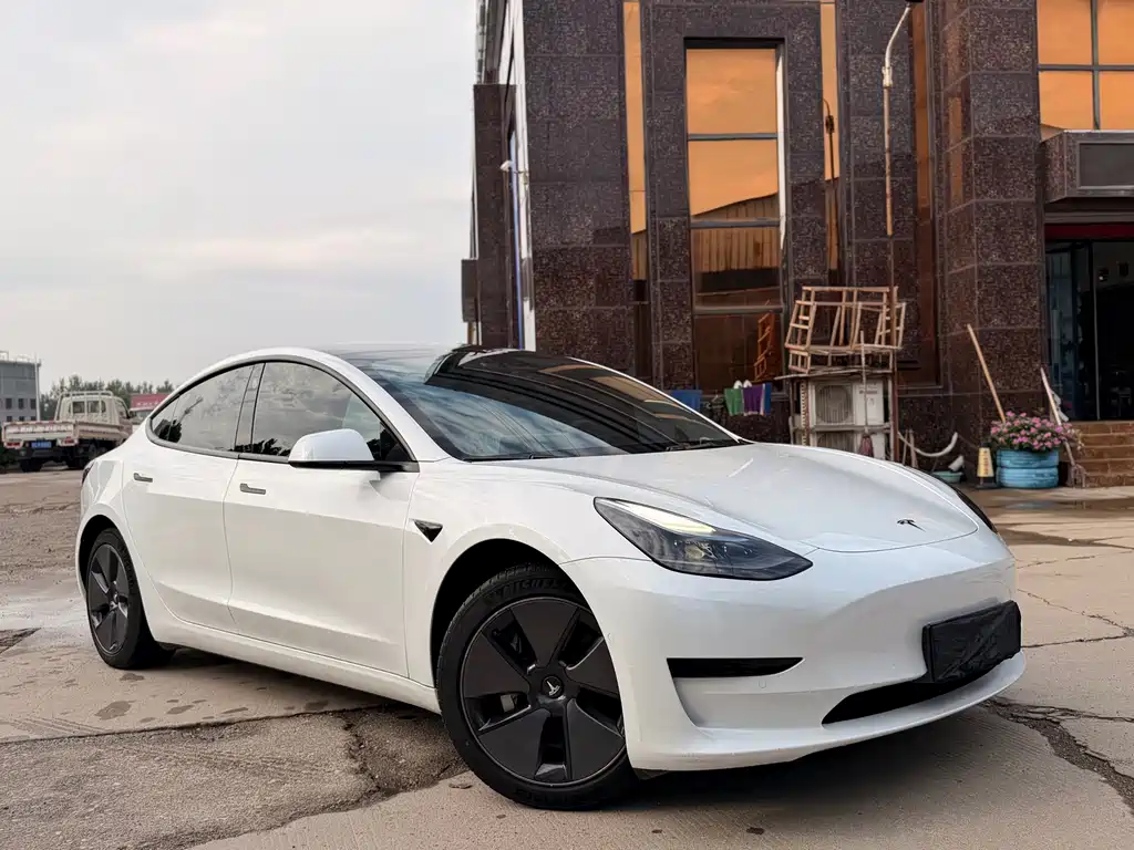 Tesla Model 3 2022 — фото 3