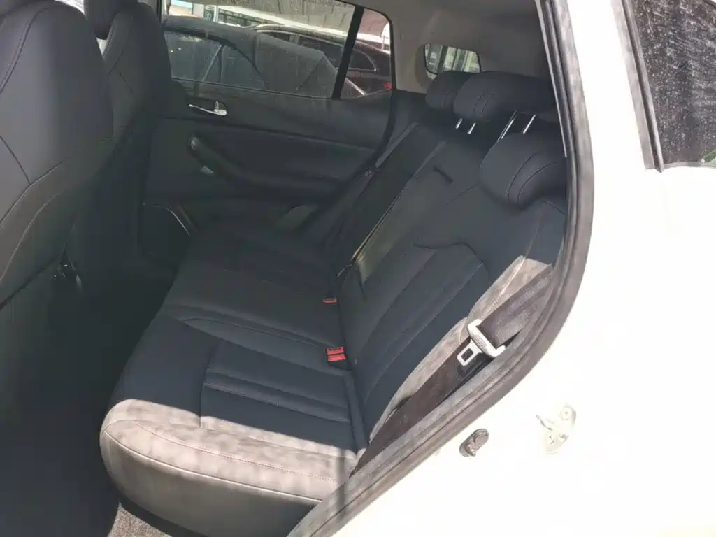 GAC Trumpchi GS4 2020 — фото 17
