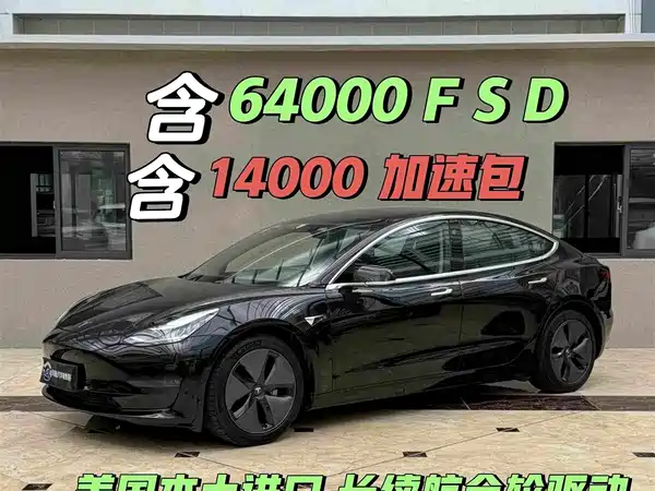 Tesla Model 3 2019