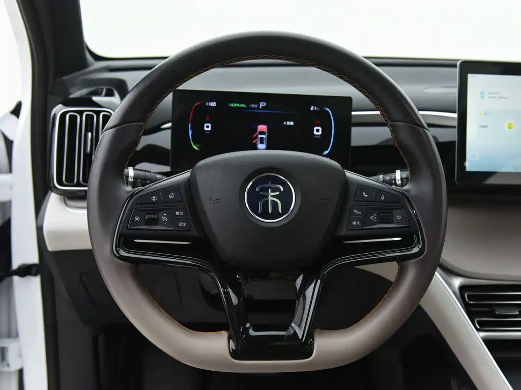 BYD Pro New Energy 2024 — фото 10