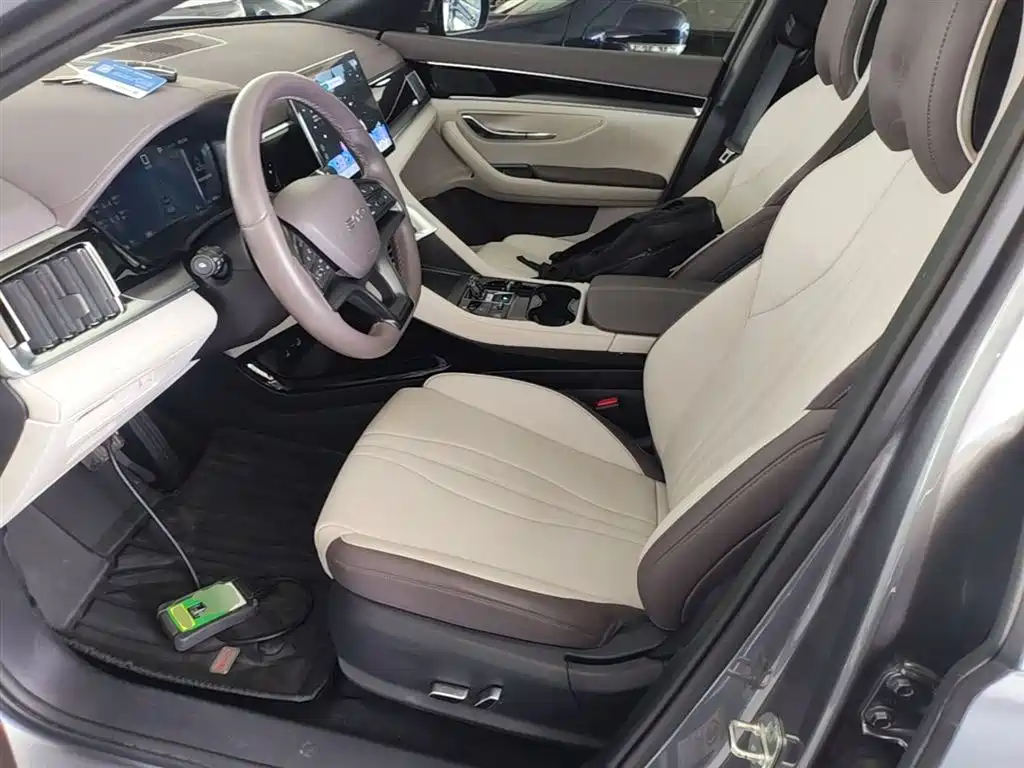 BYD PLUS New Energy 2024 — фото 11
