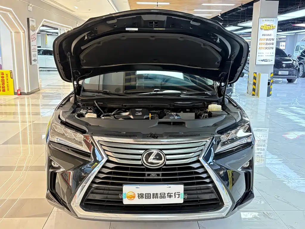 Lexus RX 2019 — фото 21