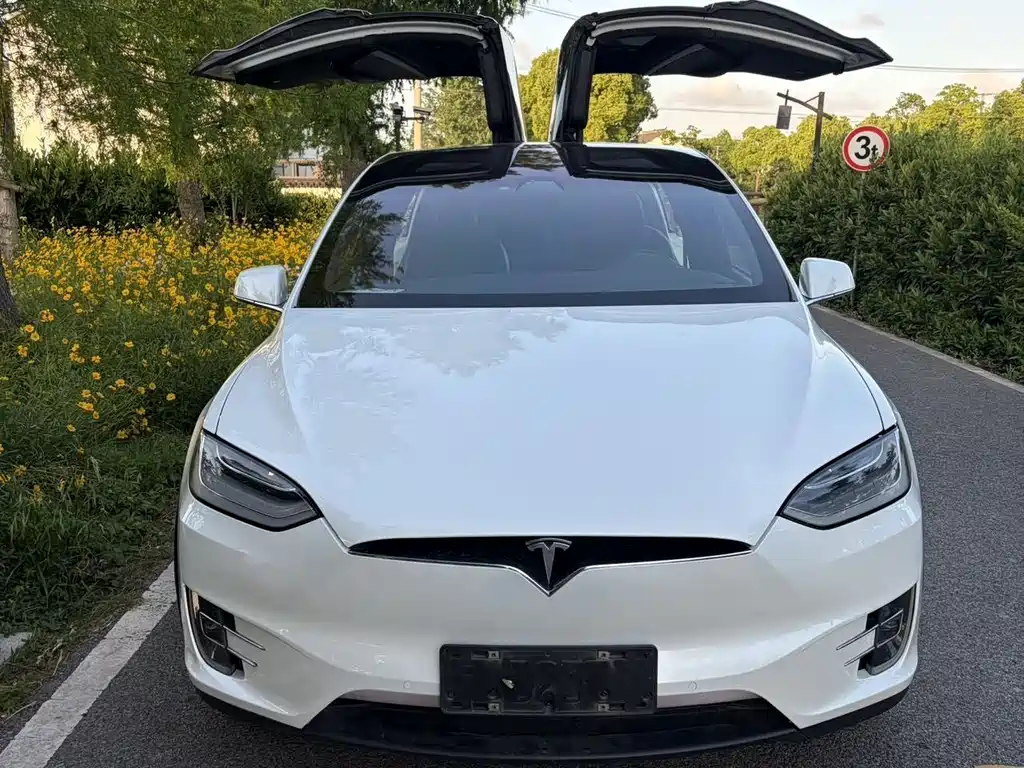 Tesla Model X 2020 — фото 2