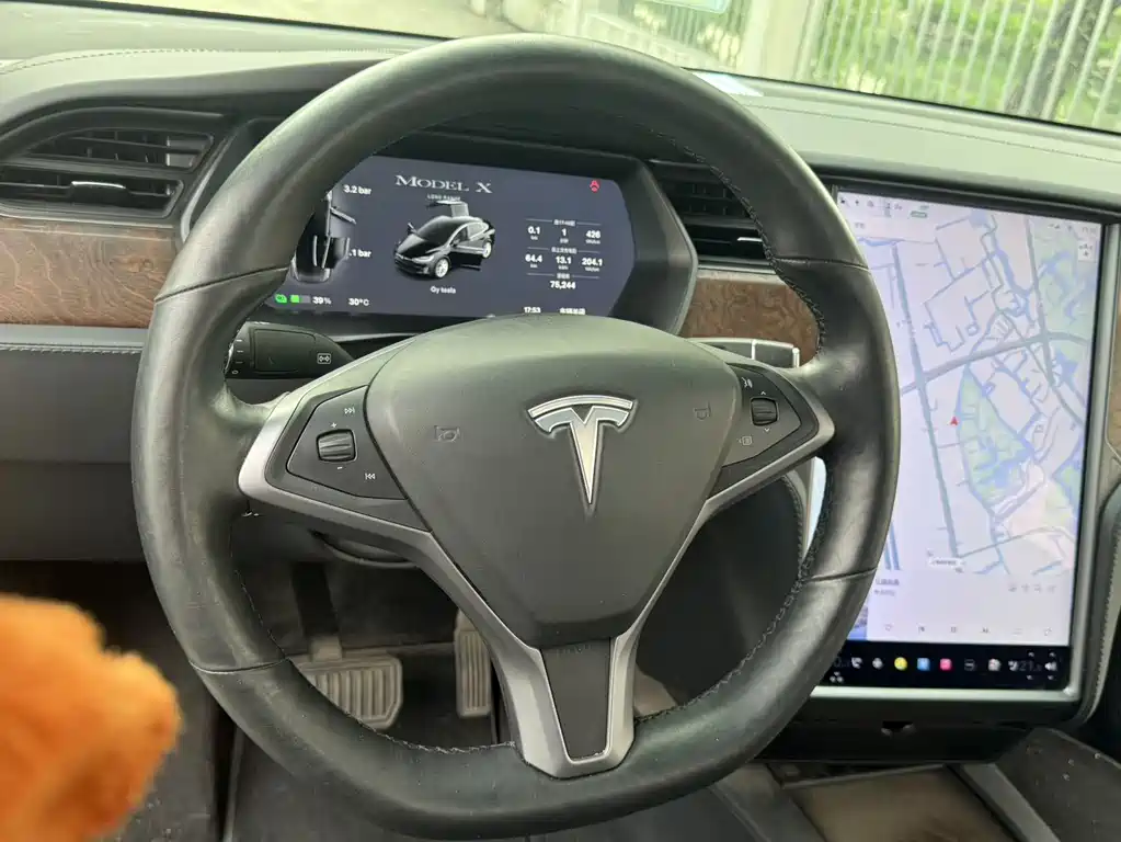 Tesla Model X 2019 — фото 15