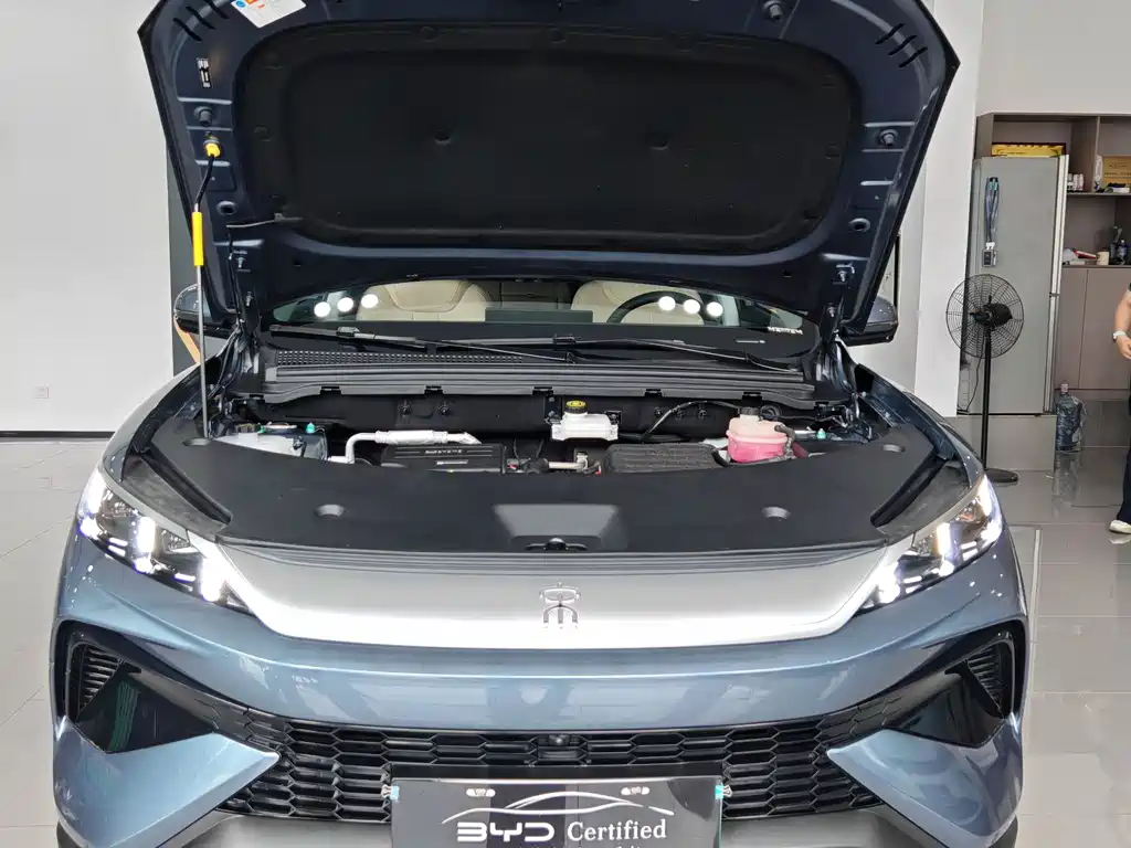 BYD Song Pro New Energy 2025 — фото 6