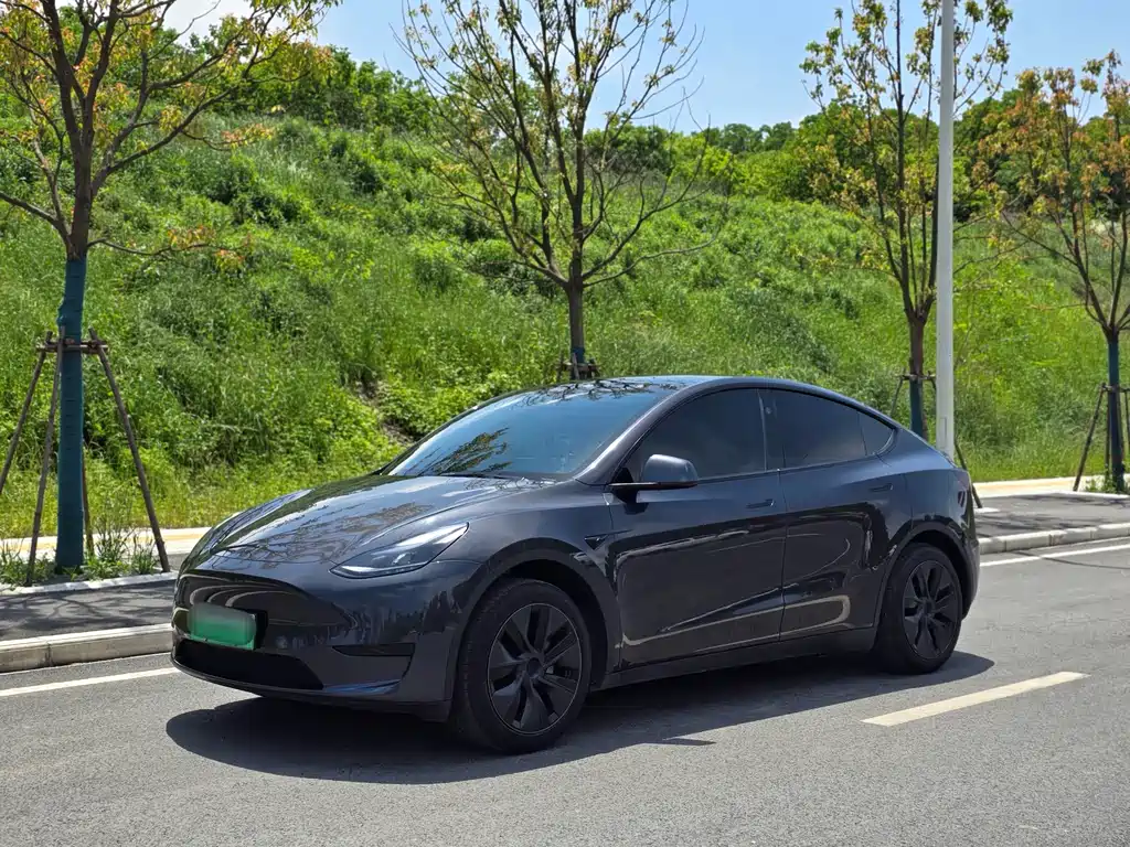 Tesla Model Y 2024 — фото 1