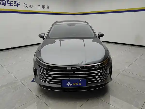 BYD Destroyer 05 2024