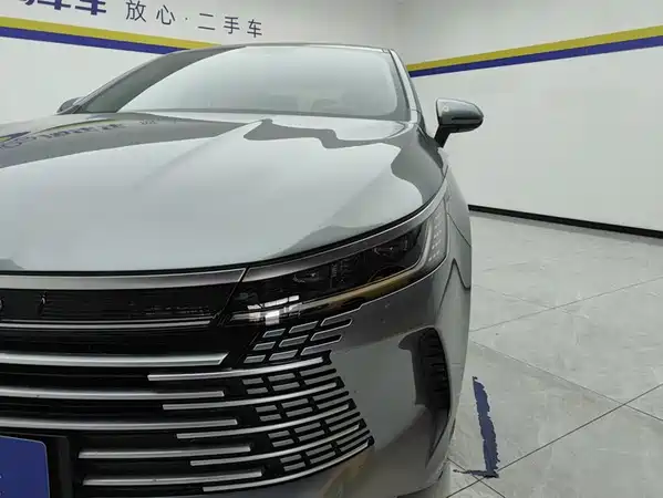 BYD Destroyer 05 2024