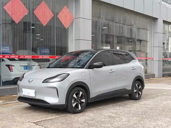 Wuling Bingo PLUS 2024