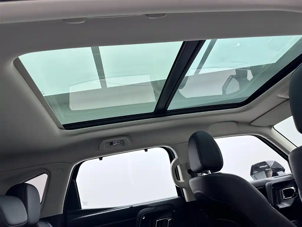 Haval Dargo PLUS EV 2023 — фото 25