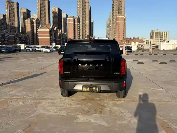 Haval Cool Dog 2022