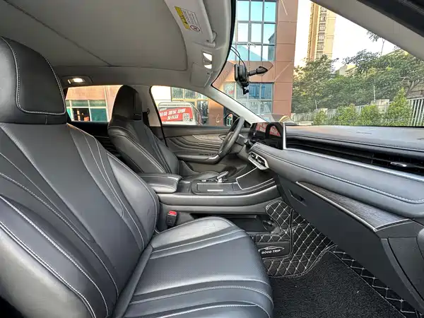 Venucia Big V 2022