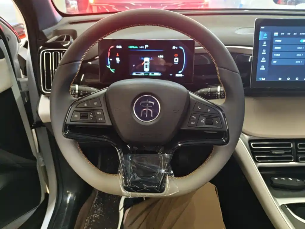 BYD Pro New Energy 2024 — фото 11