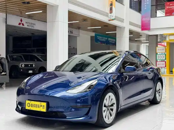 Tesla Model 3 2021