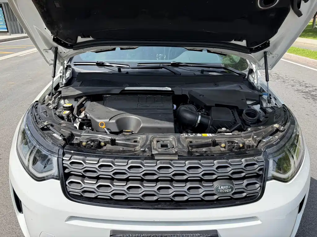 Land Rover Discovery Sport 2020 — фото 11