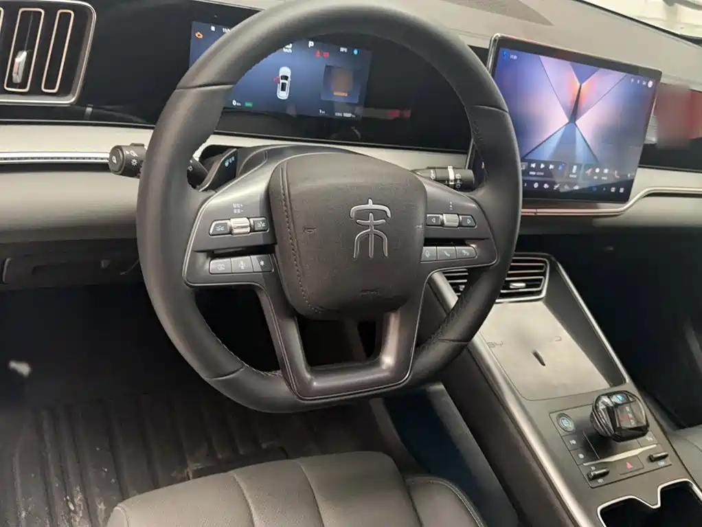 BYD Pro New Energy 2025 — фото 16