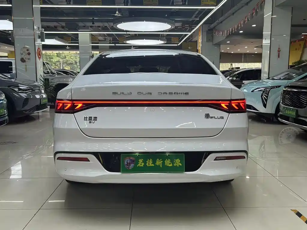 BYD Qin PLUS 2021 — фото 6